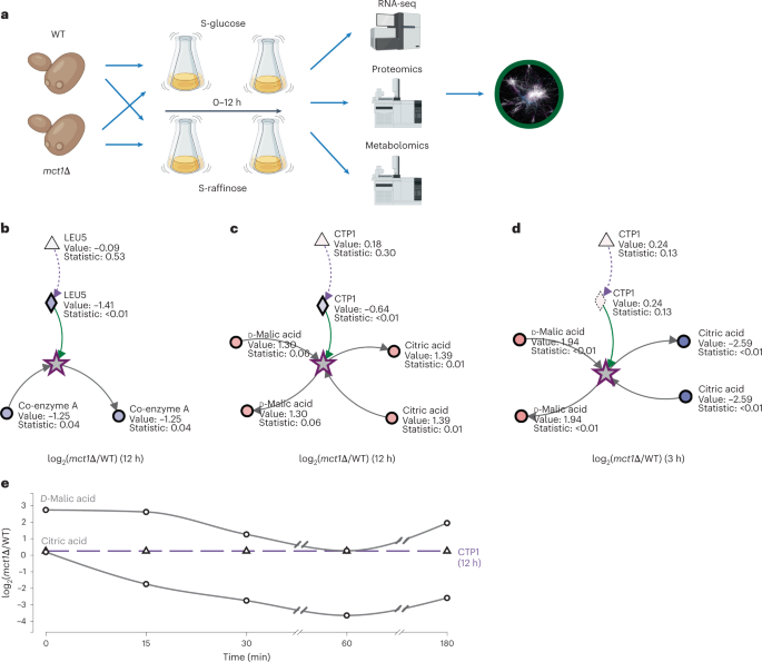Fig. 3: Metaboverse identifies signatures of mitochondrial dysfunction from multi-omics data in yeast.
