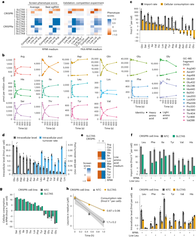 case study cellular transport figure 2
