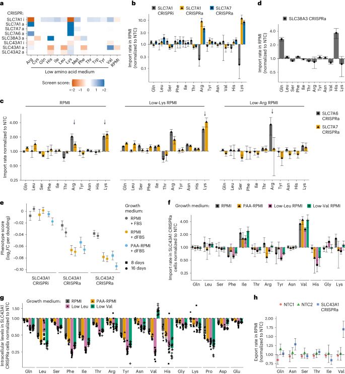 case study cellular transport figure 3