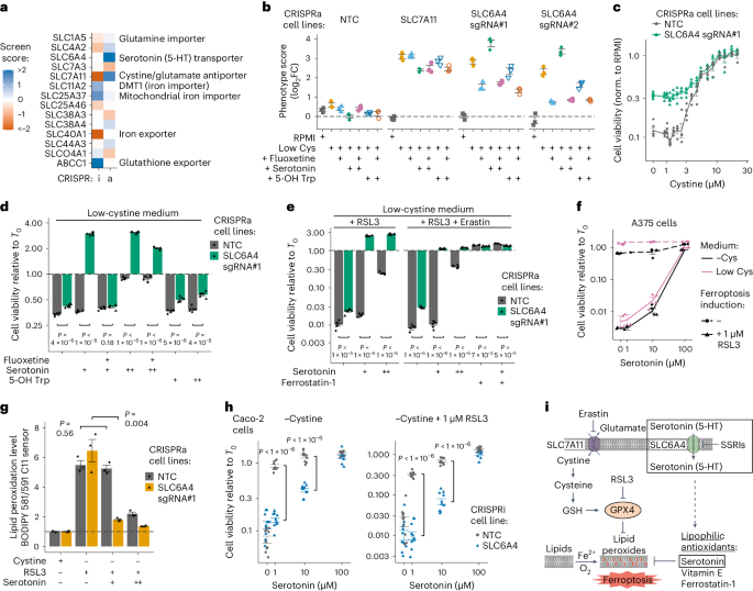 case study cellular transport figure 4