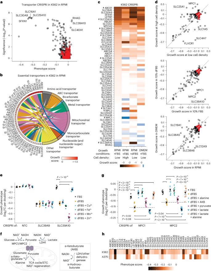 case study cellular transport figure 5