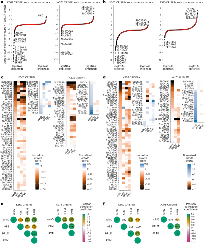 case study cellular transport figure 6