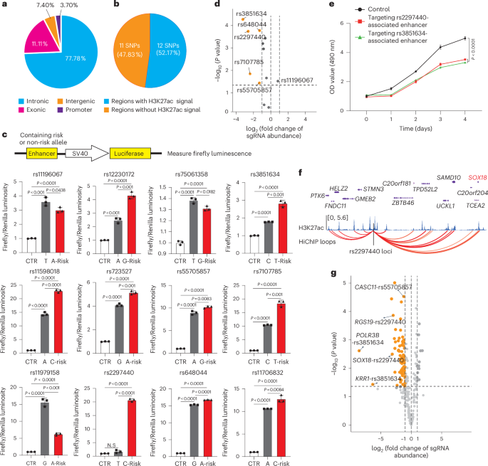 Fig. 3: Enhancer connectomes linking glioma-associated risk SNPs to target genes.