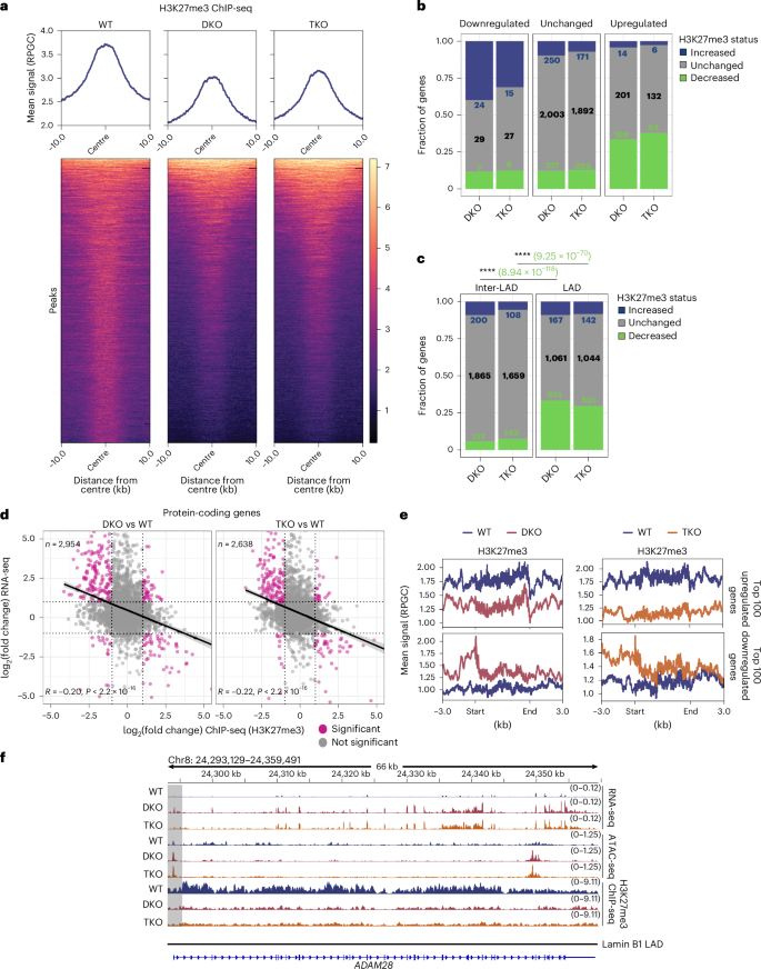 Fig. 6: ChIP-seq analysis of changes in H3K27me3 in LBR/TMPO DKO and LBR/TMPO/LMNA TKO cells.