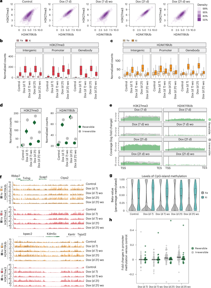 Fig. 7: Irreversible silencing of escapees is associated with DNA methylation at promoters and H3K27me3 enrichment.