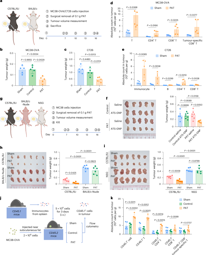 Fig. 3: tVAT competes with tumour tissue for the infiltration lymphocytes.