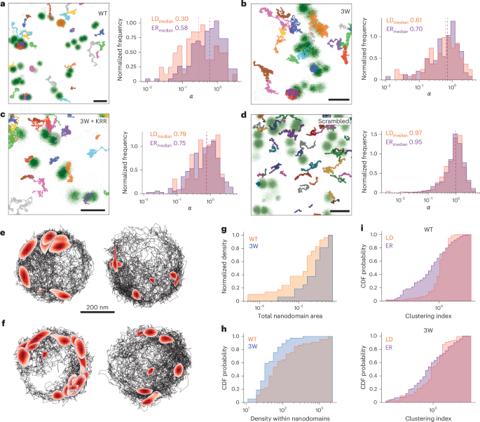 Fig. 2: Transient interactions between specific residues and membrane nanodomains drive confinement on LDs.
