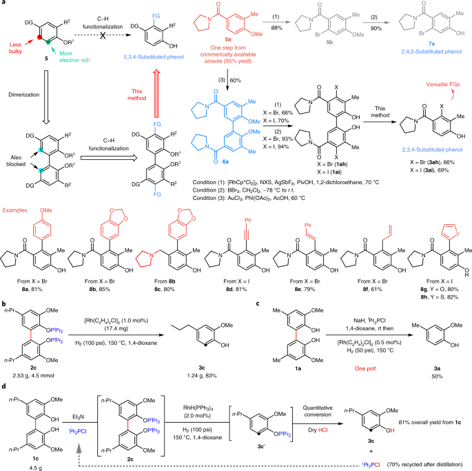 Catalytic Activation Of Unstrained C Aryl C Aryl Bonds In 2 2 Biphenols Nature Chemistry