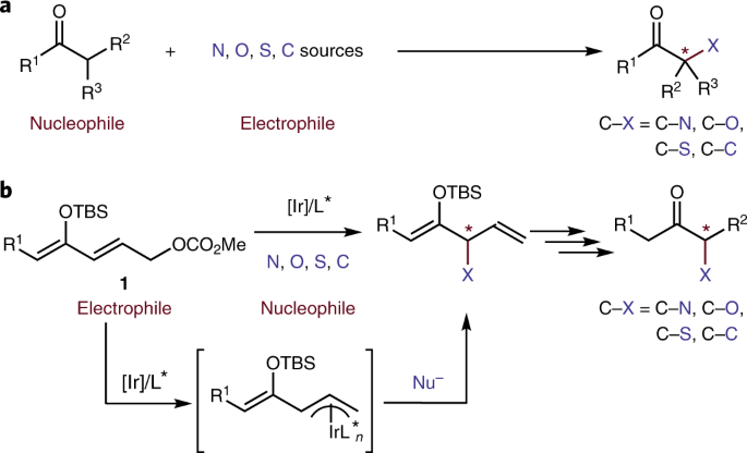 Enantioselective A Functionalizations Of Ketones Via Allylic Substitution Of Silyl Enol Ethers Nature Chemistry