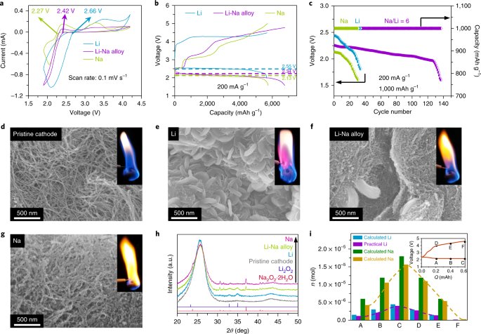 Prevention of dendrite growth and volume expansion to give high-performance  aprotic bimetallic Li-Na alloy–O2 batteries | Nature Chemistry