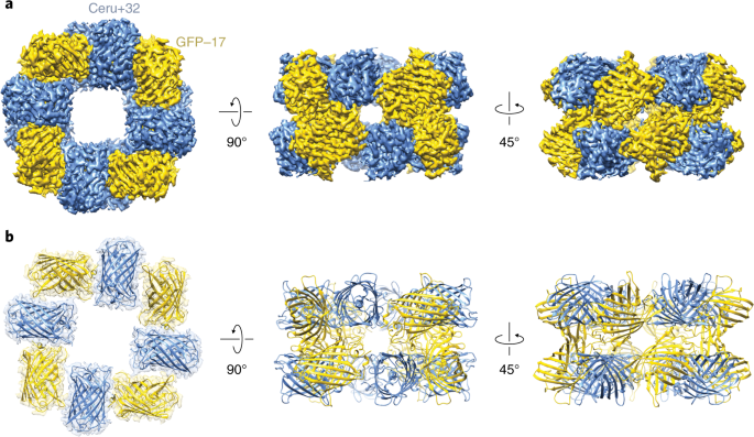 Supercharging Enables Organized Assembly Of Synthetic Biomolecules Nature Chemistry