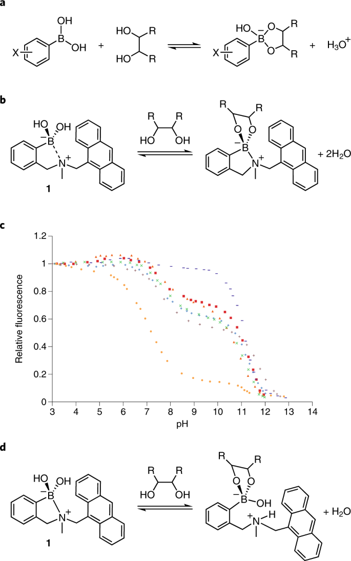 The Mechanisms Of Boronate Ester Formation And Fluorescent Turn On In Ortho Aminomethylphenylboronic Acids Nature Chemistry