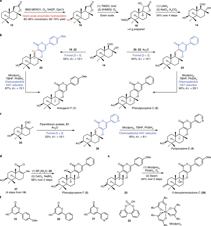 Merging chemoenzymatic and radical-based retrosynthetic logic for rapid and of oxidized meroterpenoids | Nature