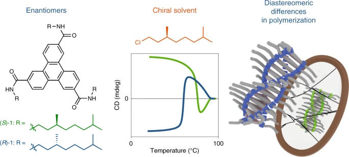 Competition between chiral solvents and chiral monomers in the helical bias of supramolecular polymers