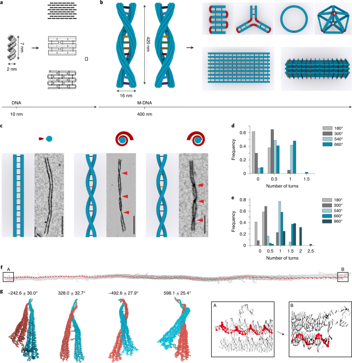 Meta Dna Structures Nature Chemistry Meta Dna Structures Nature Chemistry