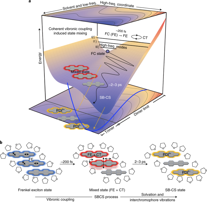 Accelerating symmetry-breaking charge separation in a perylenediimide trimer through a vibronically coherent dimer intermediate | Nature Chemistry Accelerating symmetry-breaking charge separation in a perylenediimide trimer through a vibronically coherent dimer intermediate | Nature Chemistry