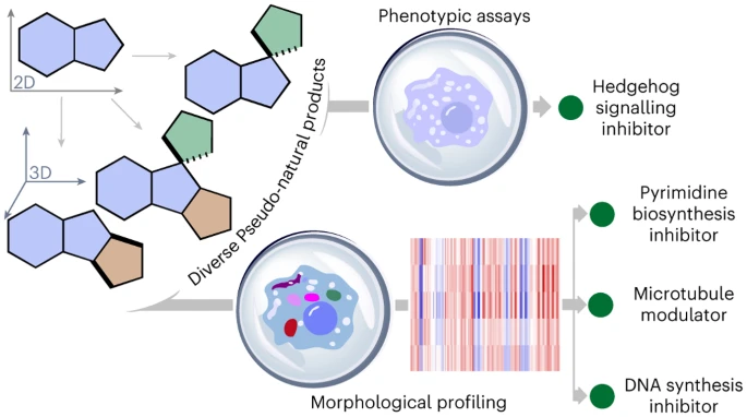 Exploring Diverse Chemical Space for Drug Discovery