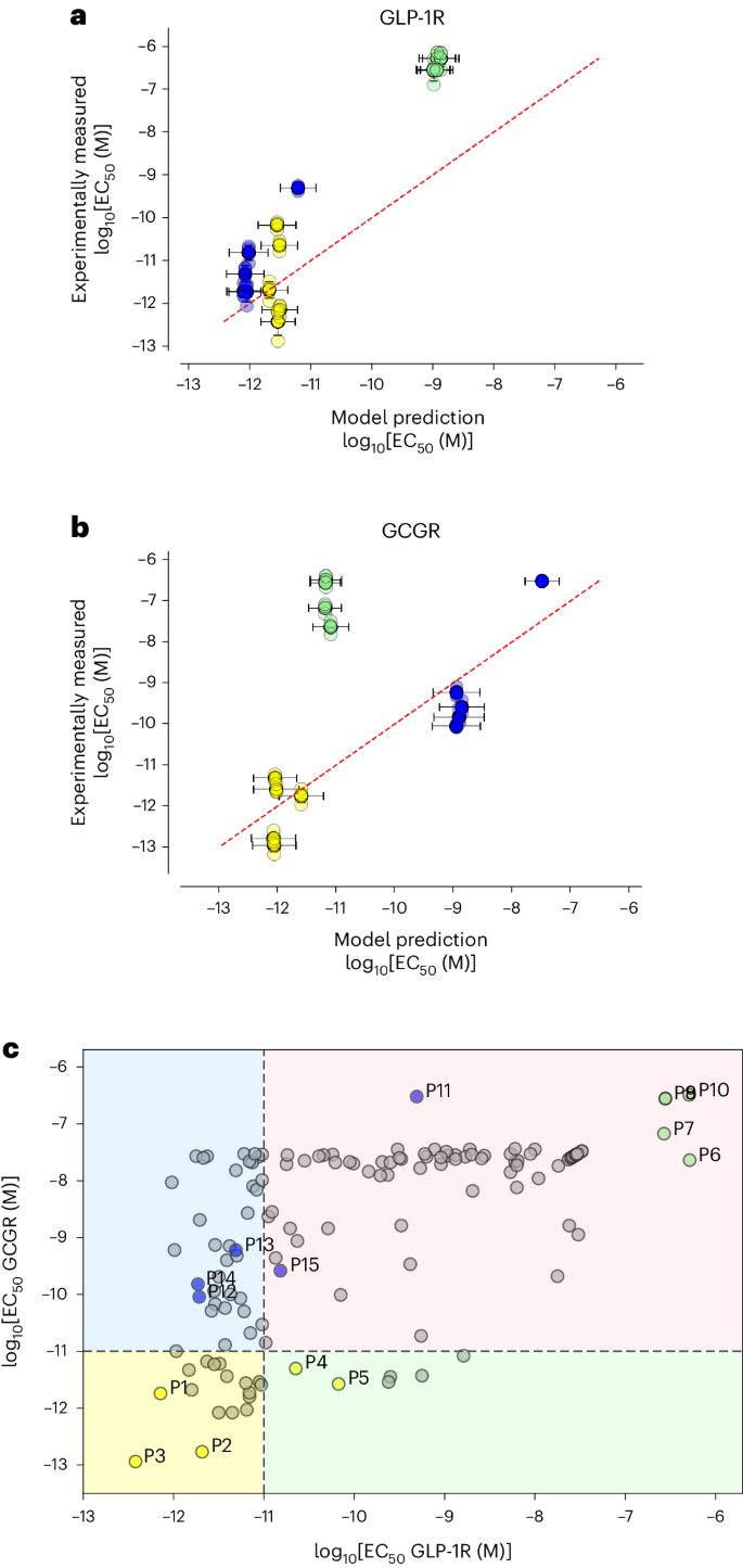 Machine learning designs new GCGR/GLP-1R dual agonists with