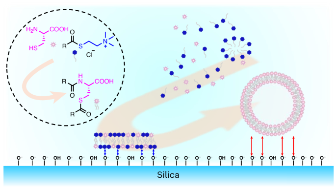 生命の起源:最初の細胞膜はどのようにして存在するようになったのか?(On the Origin of Life: How the First Cell Membranes Came to Exist)