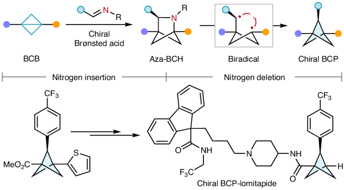 Enantioselective synthesis of 2-substituted bicyclo[1.1.1]pentanes via ...