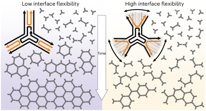 分子ネットワーク形成のメカニズムを解明 (Scientists discover mechanism driving molecular network formation)