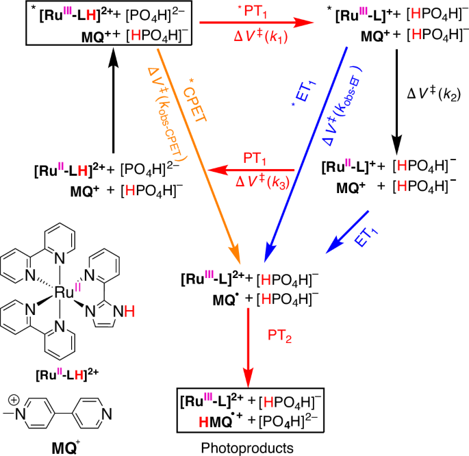 Fig. 1: The extended ‘cube’ scheme representing the studied model reaction.