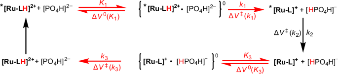 Fig. 3: The ‘square’ scheme demonstrating the elementary reaction steps, with the corresponding reaction and activation volumes, in the overall three-step deactivation mechanism of *[Ru-LH]2+ in the absence of electron accepting MQ+.