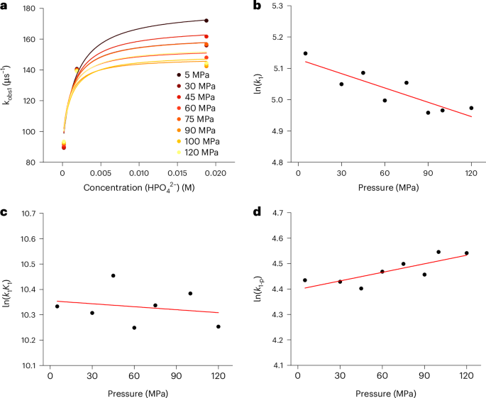 Fig. 4: Kinetics of the deprotonation of *[Ru-LH]2+ to afford *[Ru-L]+ as a function of buffer concentration and pressure.