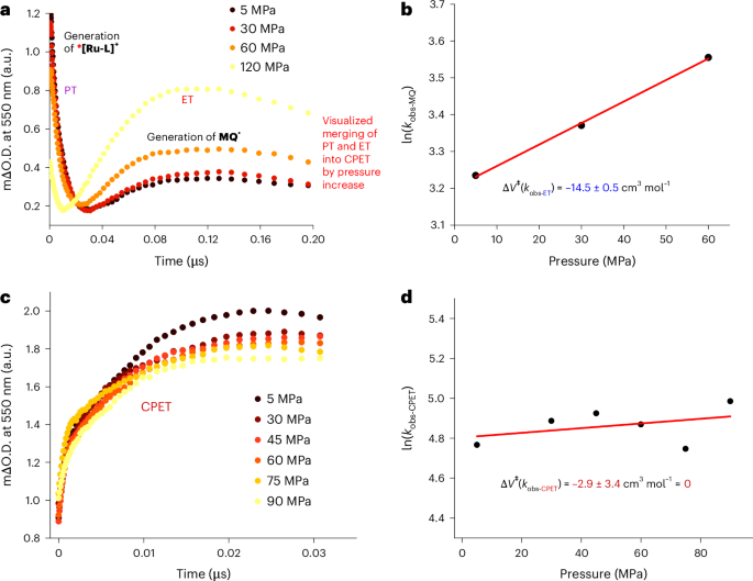 Fig. 6: The pressure response of ET, at low MQ+ concentrations, versus CPET, at high MQ+ concentrations.