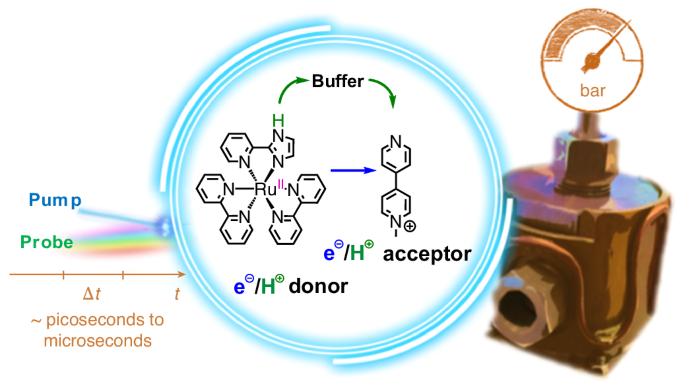 高圧を用いて解明されたプロトン結合電子移動（Proton-coupled electron transfer: Deciphered with high pressure）