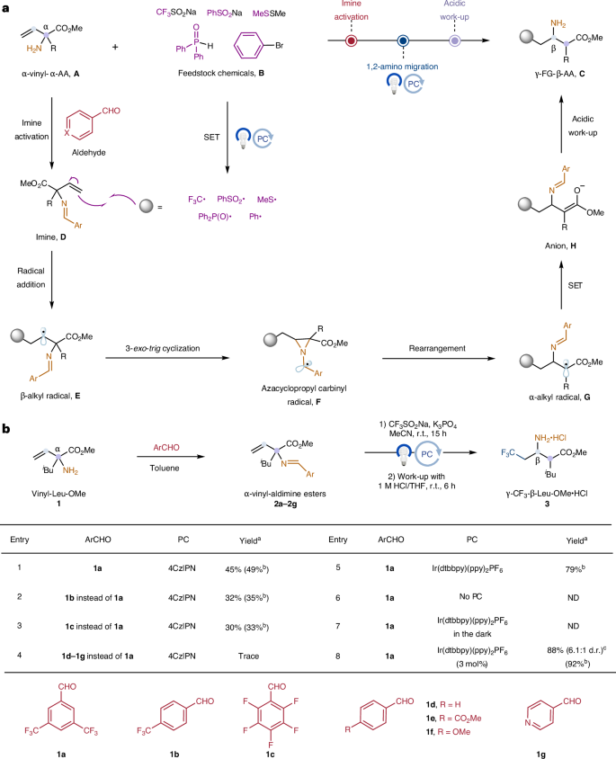 Fig. 2: Design plan, optimization and control experiments.