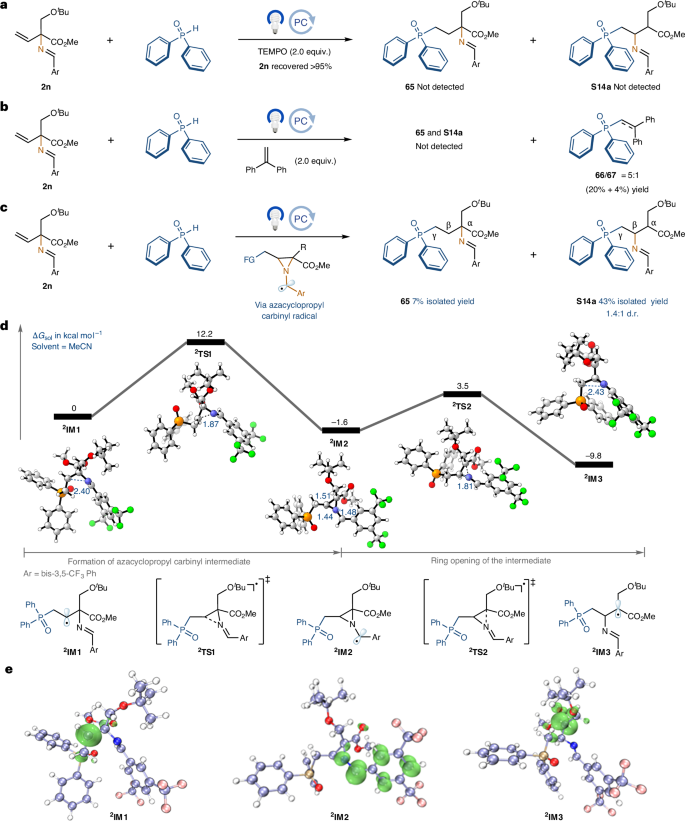 Fig. 4: Mechanism investigations.