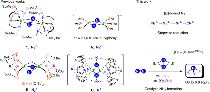 Fig. 1: Selected literature examples (1, A–C) of N2 binding and reduction by uranium complexes, as well as a summary of this work.