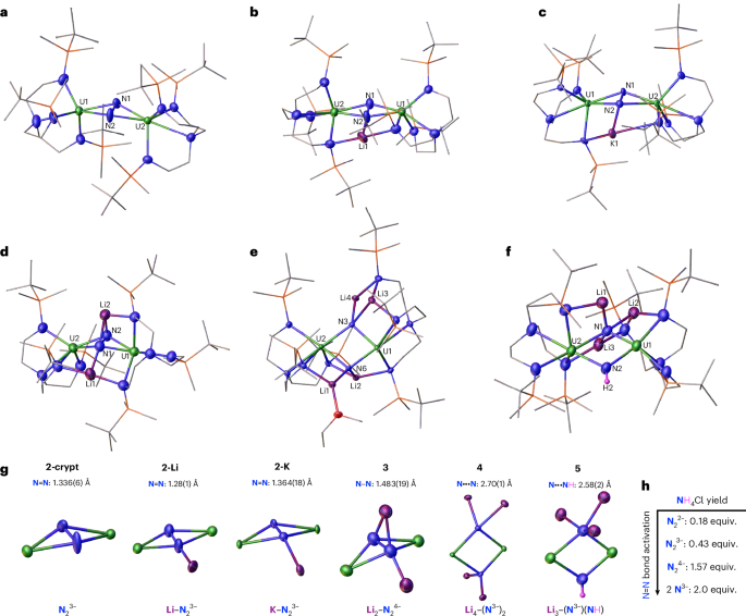 Fig. 3: Single-crystal X-ray diffraction solid-state structures of the dinitrogen-bridged TrenDMBS diuranium complexes with displacement ellipsoids at 50% probability level and selective labelling.