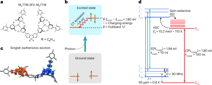 Fig. 1: Molecular design of luminescent diradical spin–optical units.