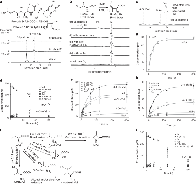 Fig. 1: Characterization of the PA biosynthesis.