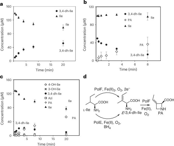 Fig. 5: Functional characterization of PolE.