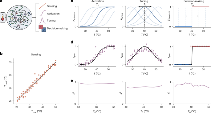 Fig. 3: Generalized information processing of temperature.