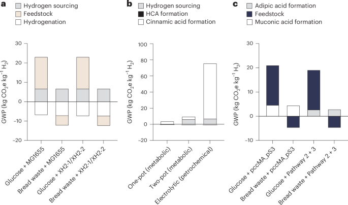 Fig. 5: GWP of in vivo biocompatible hydrogenation.