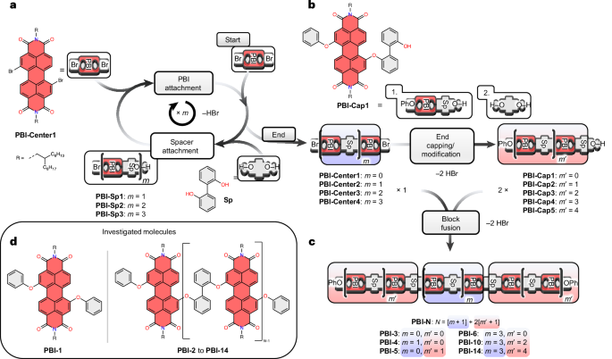 Fig. 1: Block-based approach for the synthesis of extended PBI oligomers.