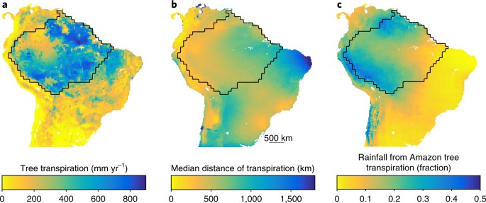 Forest-rainfall cascades buffer against drought across the Amazon | Nature  Climate Change