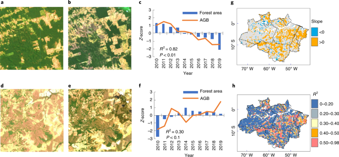 Carbon Loss From Forest Degradation Exceeds That From Deforestation In The Brazilian Amazon Nature Climate Change