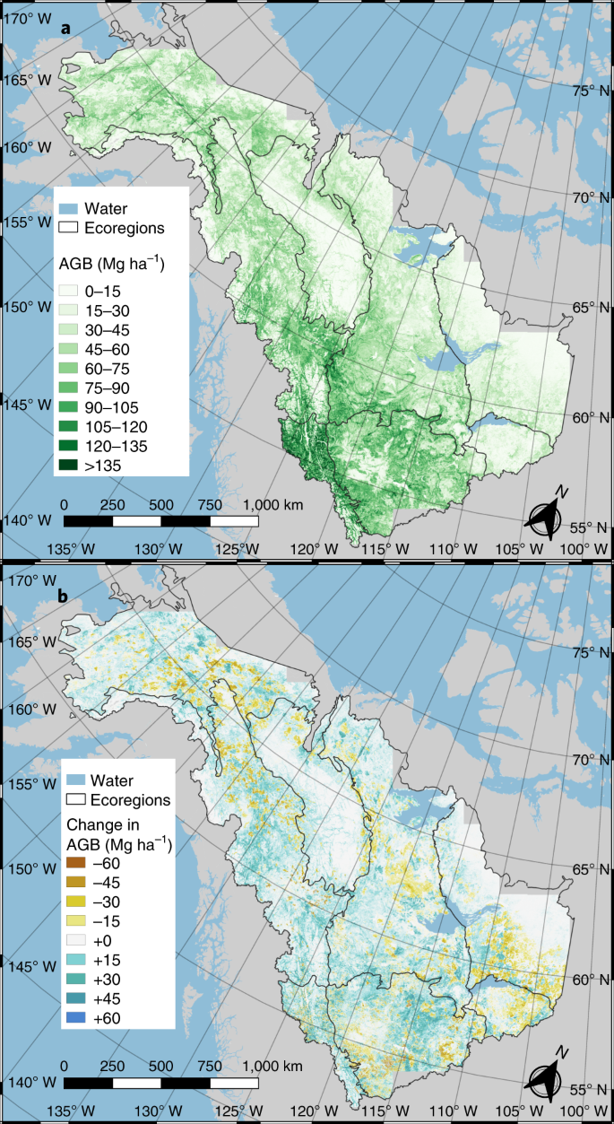 Disturbance suppresses the aboveground carbon sink in North American boreal  forests | Nature Climate Change