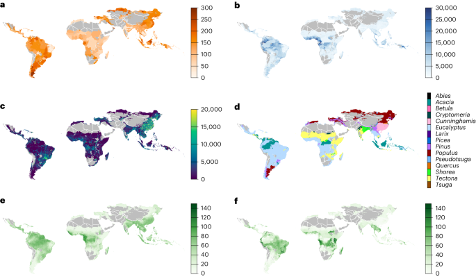 森林再生は以前考えられていたよりも費用対効果が高い(Reforestation is more cost-effective than previously thought)