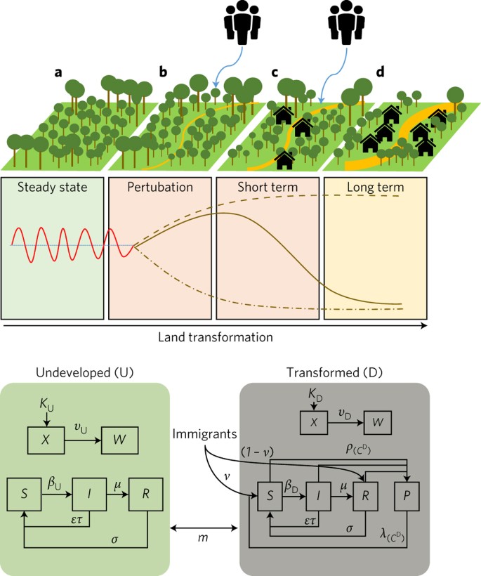 The Rise And Fall Of Malaria Under Land Use Change In Frontier Regions Nature Ecology Evolution