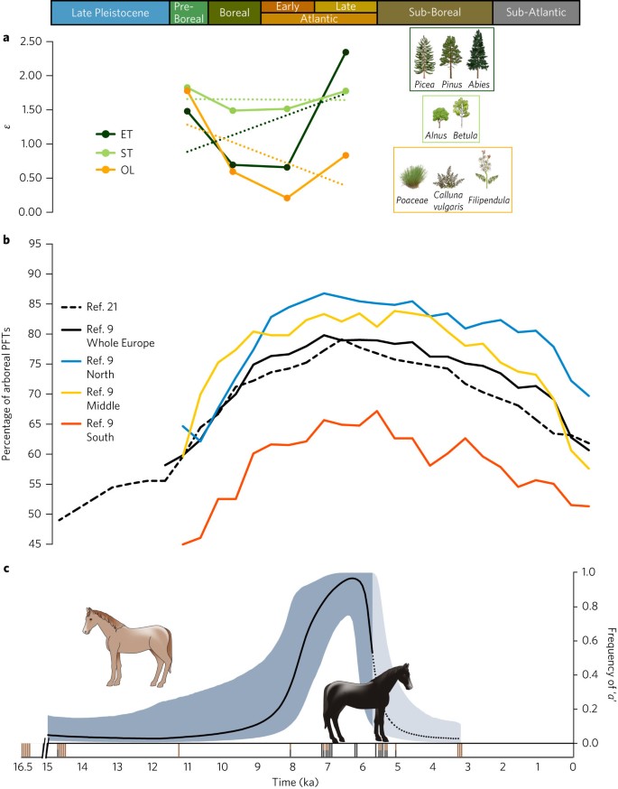 coat colour adaptation of postglacial horses to increasing