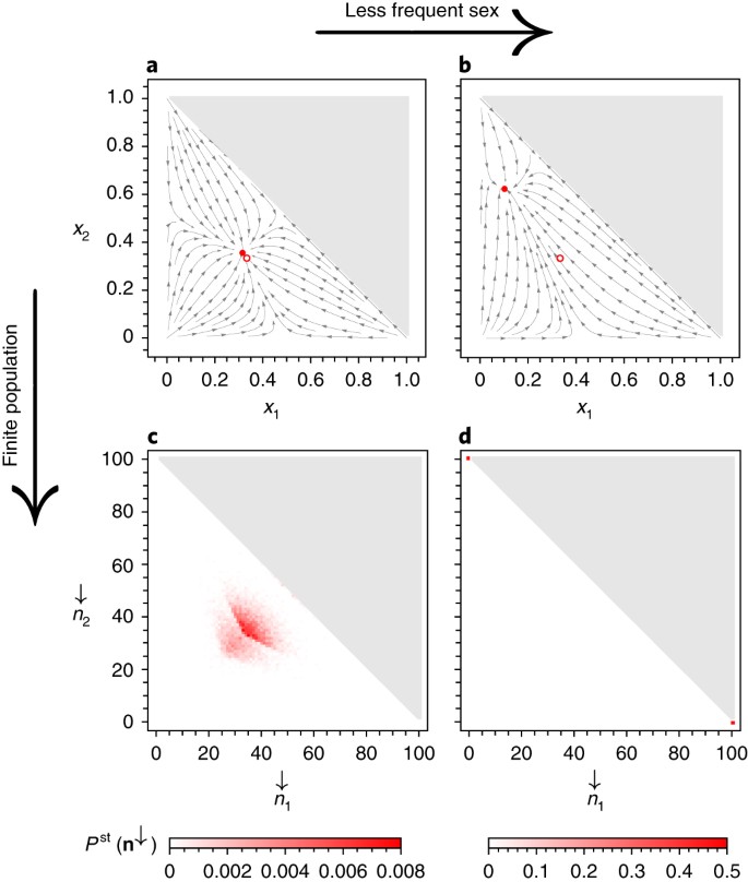 The rate of facultative sex governs the number of expected mating  
