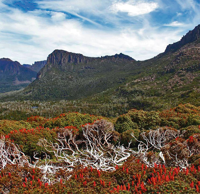 Commercial tourism in Tasmania's wilderness threatens the attraction it exploits | Nature & Evolution