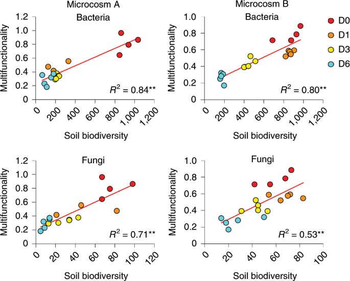 Multiple Elements Of Soil Biodiversity Drive Ecosystem Functions Across Biomes Nature Ecology Evolution
