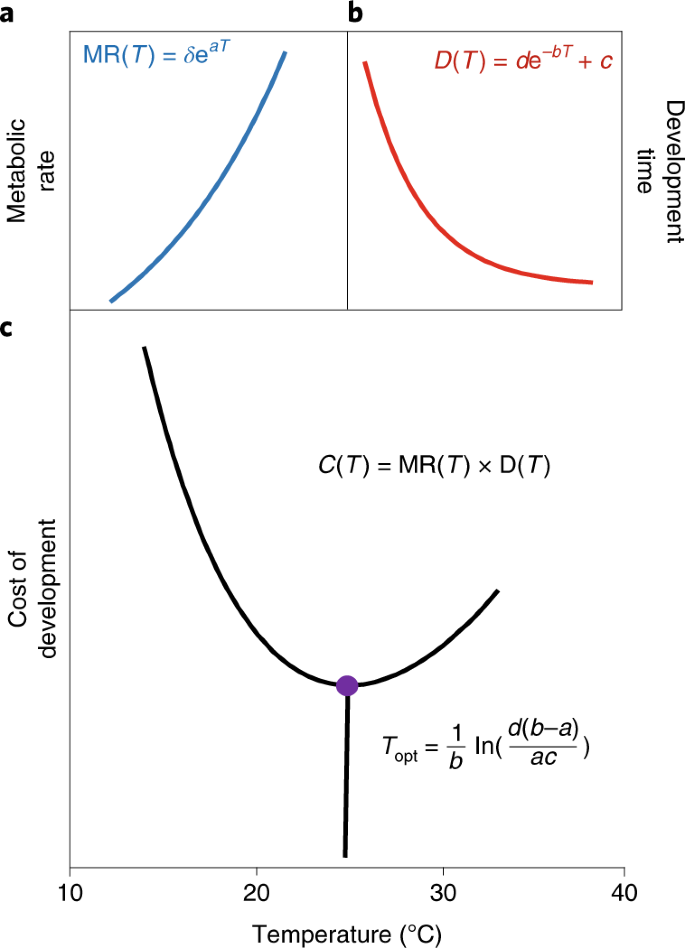 Developmental Cost Theory Predicts Thermal Environment And Vulnerability To Global Warming Nature Ecology Evolution Developmental Cost Theory Predicts Thermal Environment And Vulnerability To Global Warming Nature Ecology Evolution